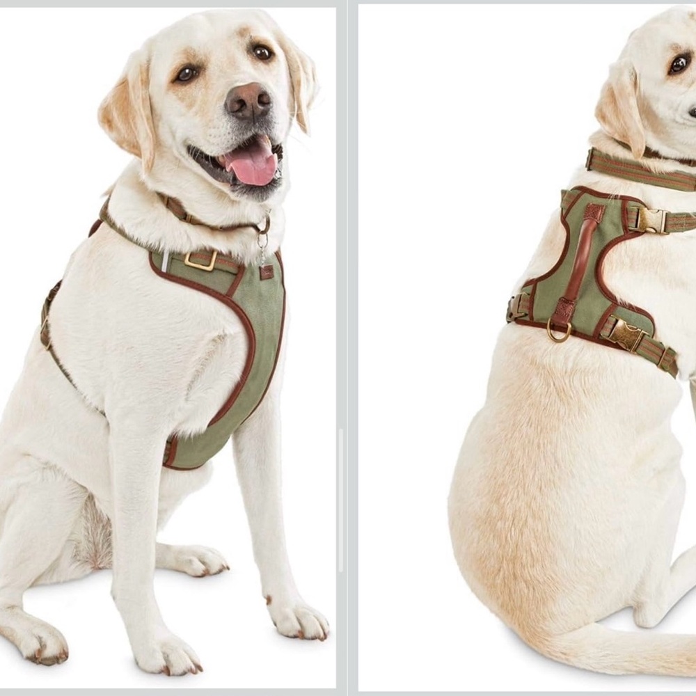 🐾 Reddy Dog Harness | Padded Canvas & Leather | Luxe Adjustable Comfort | Large